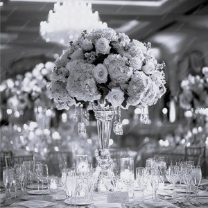 Wedding Planners Database