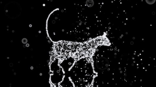 Zoology Experts Database